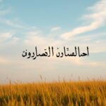 اللغات السهلة للعرب